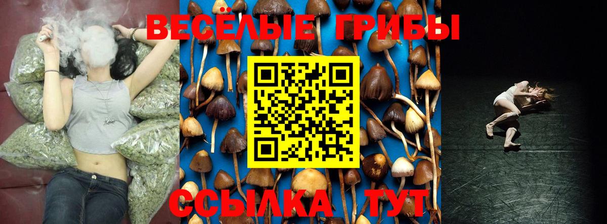 Полевской  Псилоцибиновые грибы ЛСД  Псилоцибиновые грибы Psilocybe  Вход с VPN 
