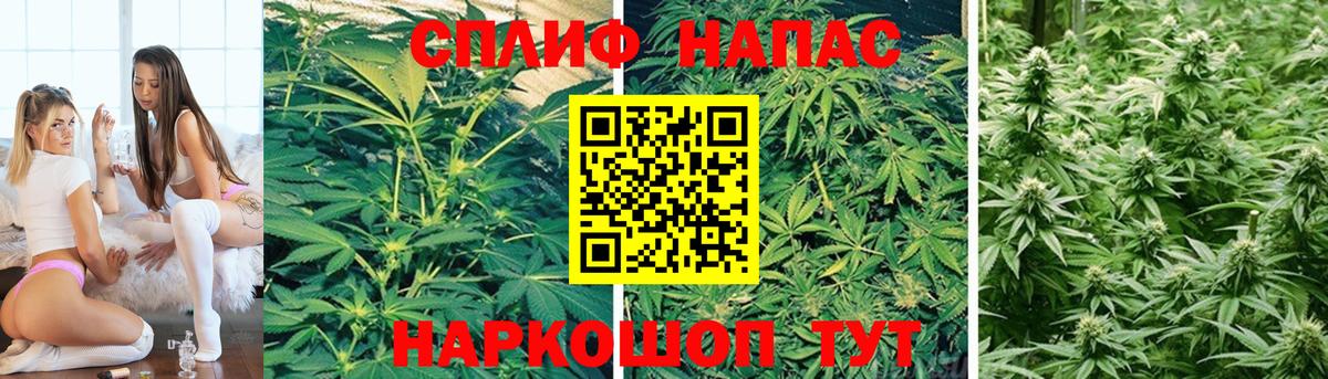 Марихуана VHQ  Бошки марихуана ГИДРОПОН  Марихуана VHQ  Полевской  Вход с VPN  Шишки марихуана MAZAR 